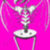 chickenboltpink